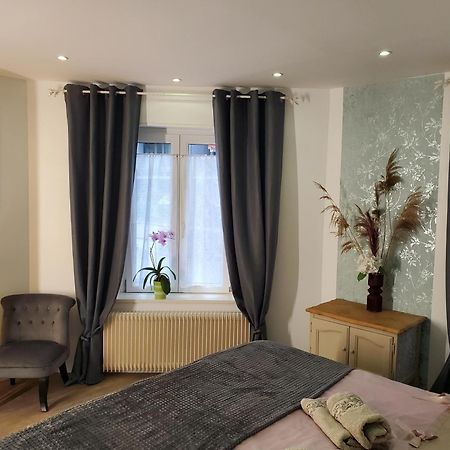 Mirka & Franck Apartment Chic 4 Stars Parking Free Colmar Eksteriør billede