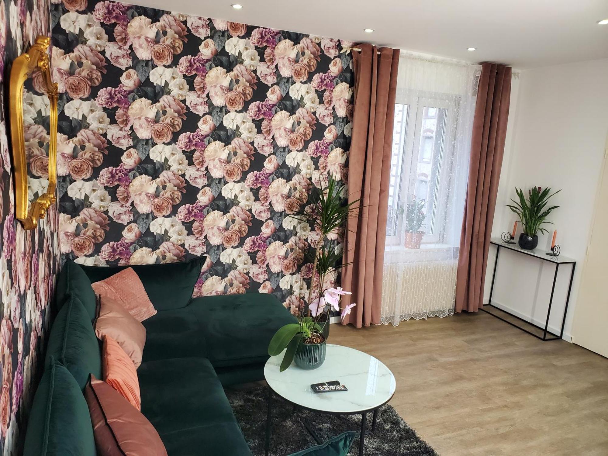 Mirka & Franck Apartment Chic 4 Stars Parking Free Colmar Eksteriør billede