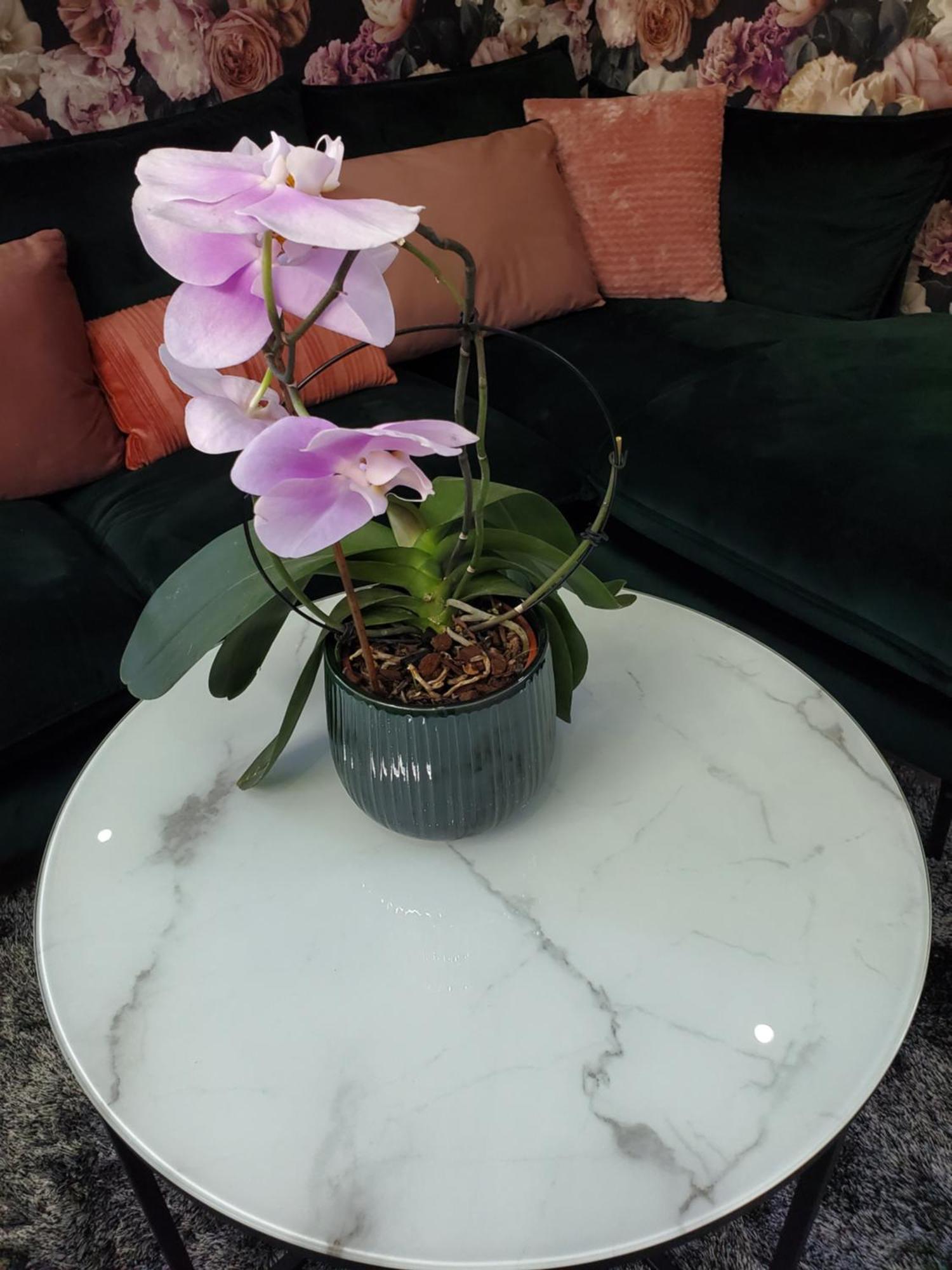 Mirka & Franck Apartment Chic 4 Stars Parking Free Colmar Eksteriør billede